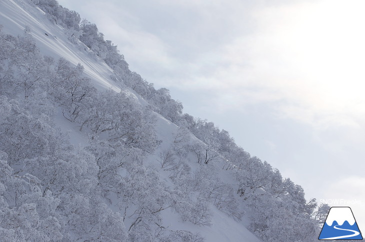 児玉毅×山木匡浩 b.c.map POWDER HUNTING in NISEKO 2018！